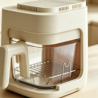 Visible‑Glass Air Fryer