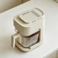 Visible‑Glass Air Fryer
