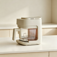 Visible‑Glass Air Fryer