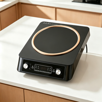Knob Digital‑Display Electric Ceramic Cooker