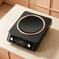 Knob Digital‑Display Electric Ceramic Cooker