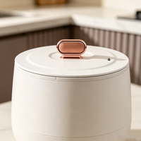 Minimalist Mini Rice Cooker