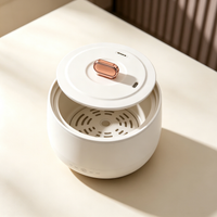 Minimalist Mini Rice Cooker